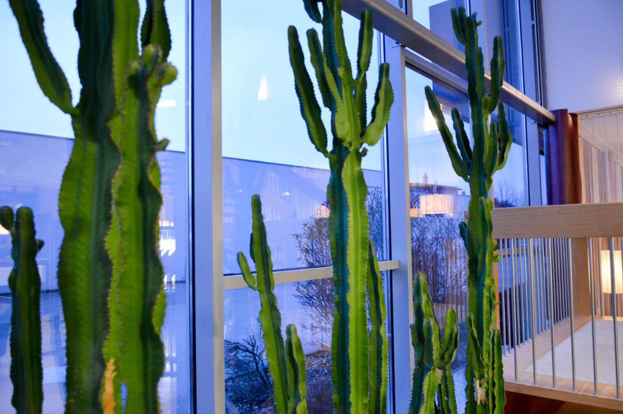 Hotel Roemerhof Tulln An Der Donau Zewnętrze zdjęcie